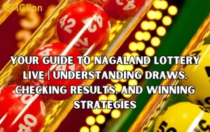 nagaland lottery live